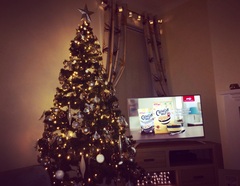 Show Us Your TREES!