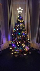 Show Us Your TREES!