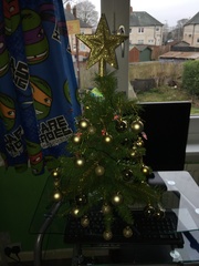 Show Us Your TREES!