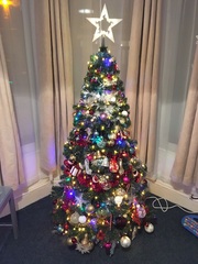 Show Us Your TREES!