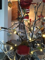 Show Us Your TREES!