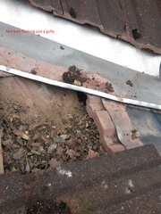 Leaks around the house!