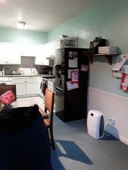 Kitchen design help please