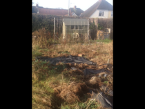 Allotment/Veg Patch - Thread 7 - The Harvesters Arms