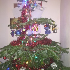 AIBU to feel my Christmas tree is making my house look tacky?