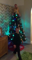 Show Us Your TREES!
