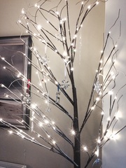 Show Us Your TREES!