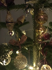 Show Us Your TREES!