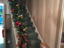 Show Us Your TREES!
