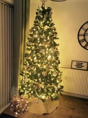 Show Us Your TREES!