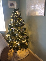Show Us Your TREES!
