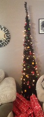 Show Us Your TREES!