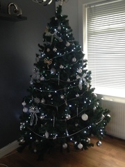 Show Us Your TREES!