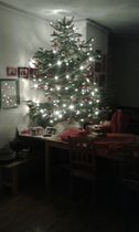 Sev , the tree and the lights