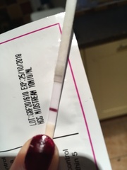 Please can someone tell me if this is just evap line??