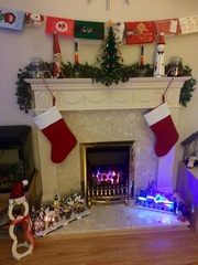 Show Us Your TREES!