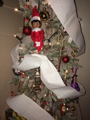 Do we have a show us yer elf thread