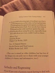 how to get DD to poo on the toilet??