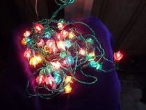 To think blue lights are NOT Christmassy (light-hearted)