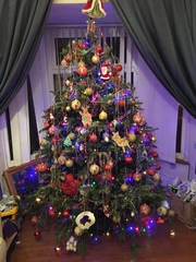 Show Us Your TREES!