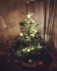 Show Us Your TREES!