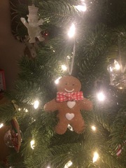 Show Us Your TREES!