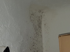 If I set fire to this stupid house will that finally stop the damp?