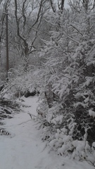 Swagger Inn 140 - Where The Musketeers shout "We've come for your wenches" and The Wenches shout "Okay!"