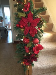 Show Us Your TREES!