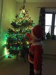 Show Us Your TREES!