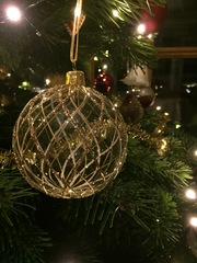 Show Us Your TREES!
