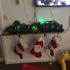 Show Us Your TREES!