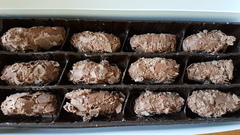 AIBU? Do these chocolates look like...