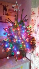 Show Us Your TREES!
