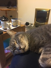 Show me your pussy!