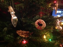 Show Us Your TREES!