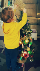 Show Us Your TREES!