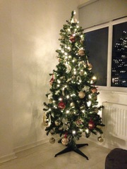 Show Us Your TREES!
