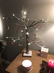 Show Us Your TREES!