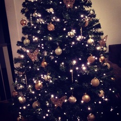 Show Us Your TREES!