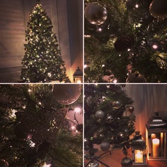 Show Us Your TREES!