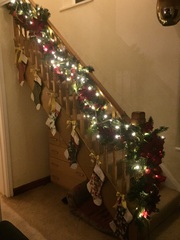 Show Us Your TREES!