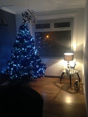 Show Us Your TREES!