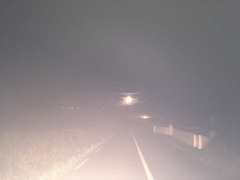 Festive Frugaleers - Chatting and saving through Christmas.