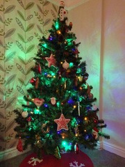 Show Us Your TREES!