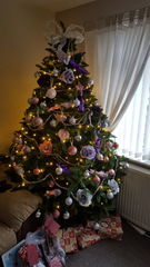 Show Us Your TREES!