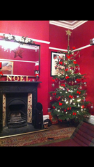 Show Us Your TREES!