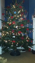 Show Us Your TREES!
