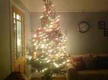 Show Us Your TREES!