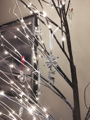 Show Us Your TREES!
